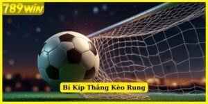 Bí kíp mang về chiến thắng đậm khi chơi tại kèo rung 789Win